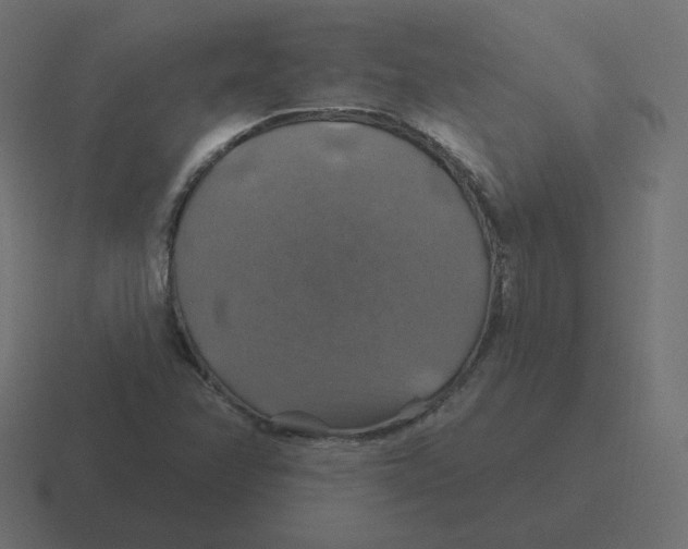 X0000116491358200912292057