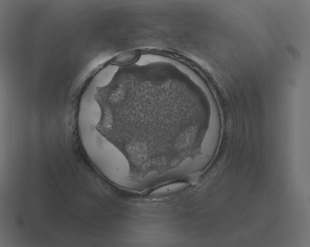 X0000116491359200912292057