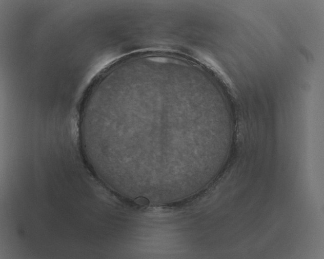 X0000116491360200912292057