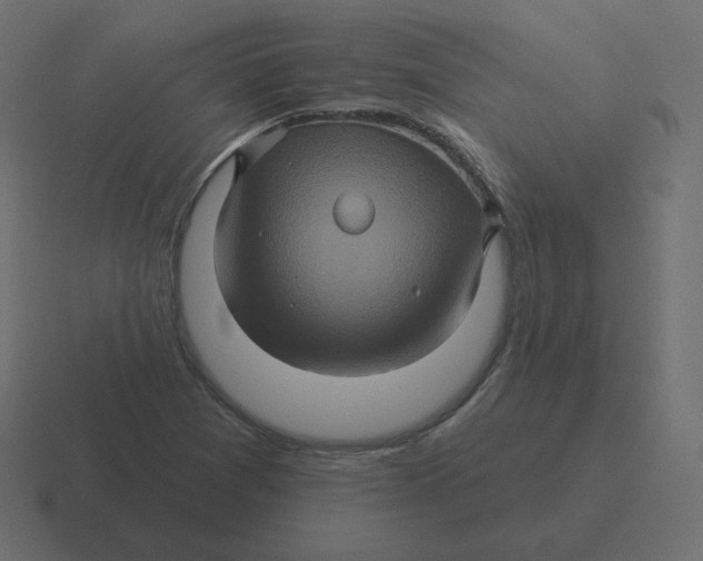 X0000116491361200912292057