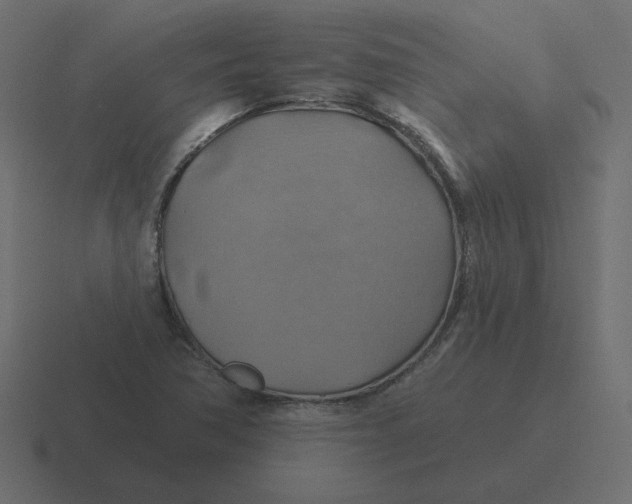 X0000116491362200912292057