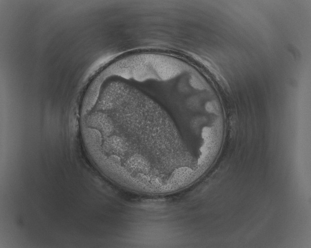 X0000116491363200912292057