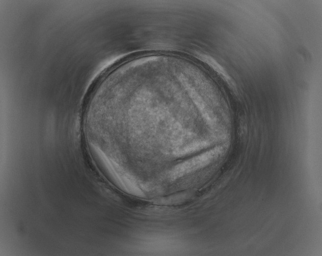 X0000116491364200912292057