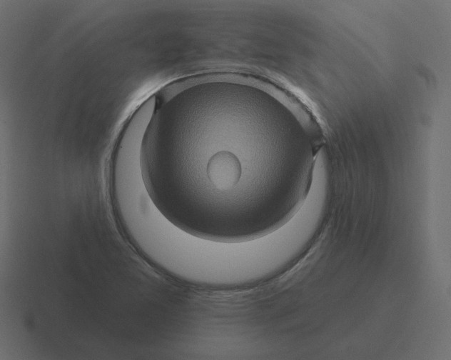 X0000116491365200912292057