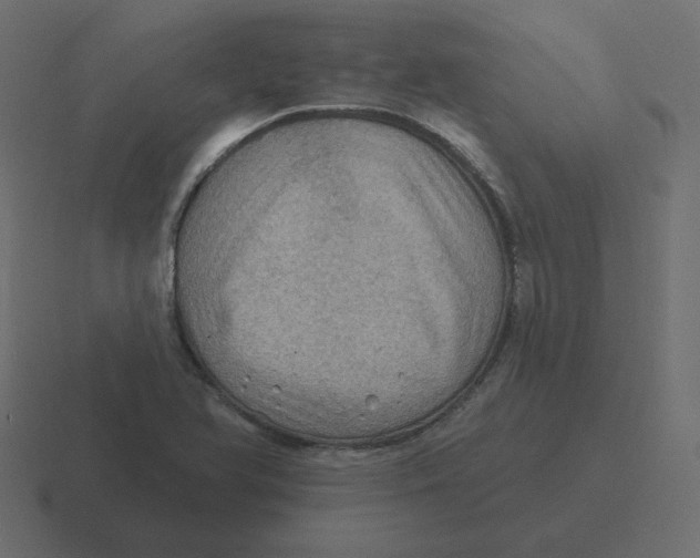 X0000116491366200912292057