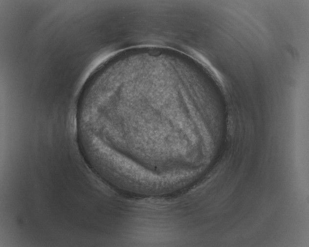 X0000116491368200912292057