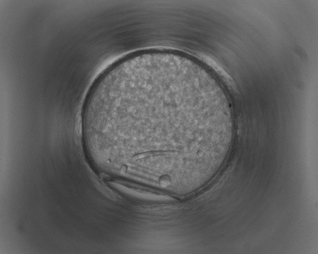 X0000116491372200912292057