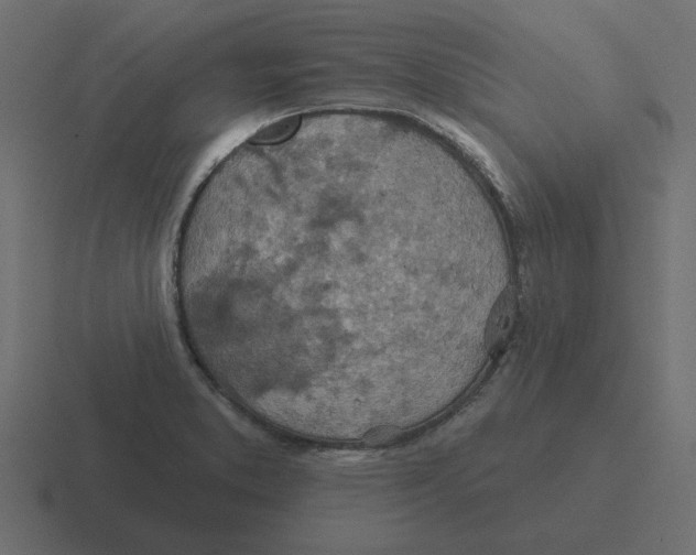 X0000116491373200912292057