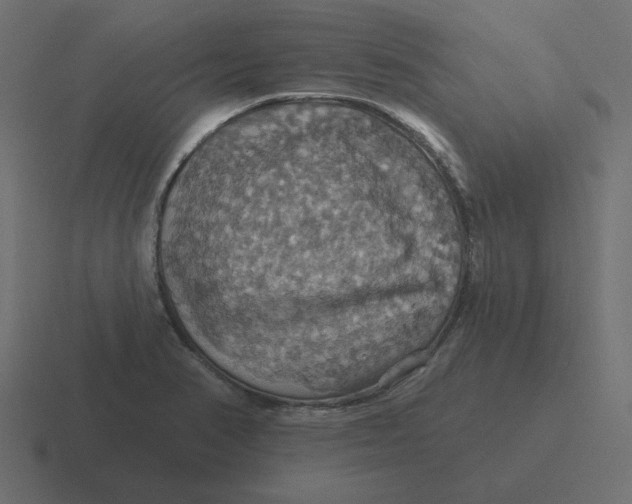 X0000116491374200912292057