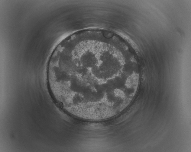 X0000116491375200912292057