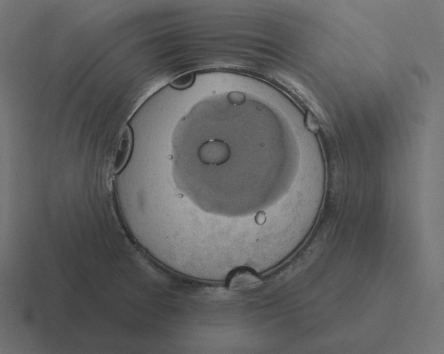 X0000116491377200912292057