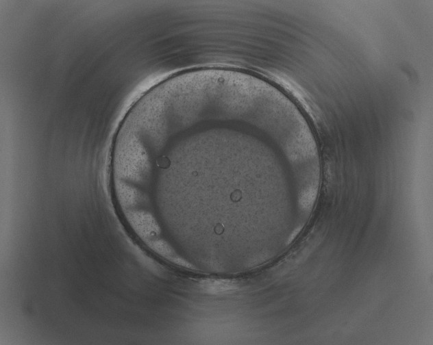 X0000116491379200912292057