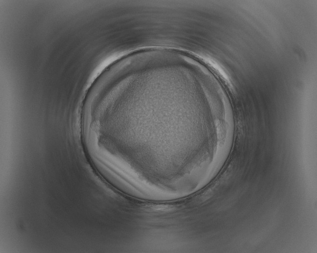 X0000116491382200912292057