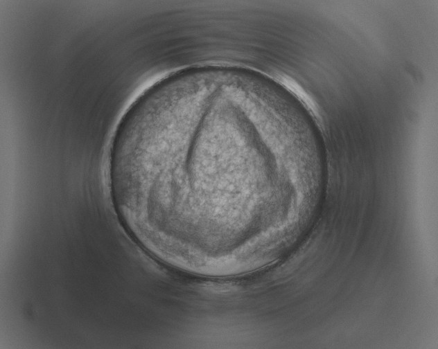 X0000116491384200912292057