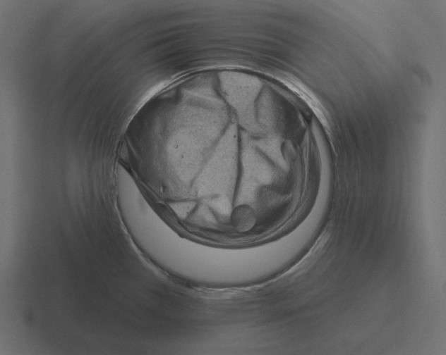 X0000116491385200912292057