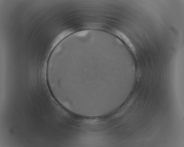 X0000116491386200912292057