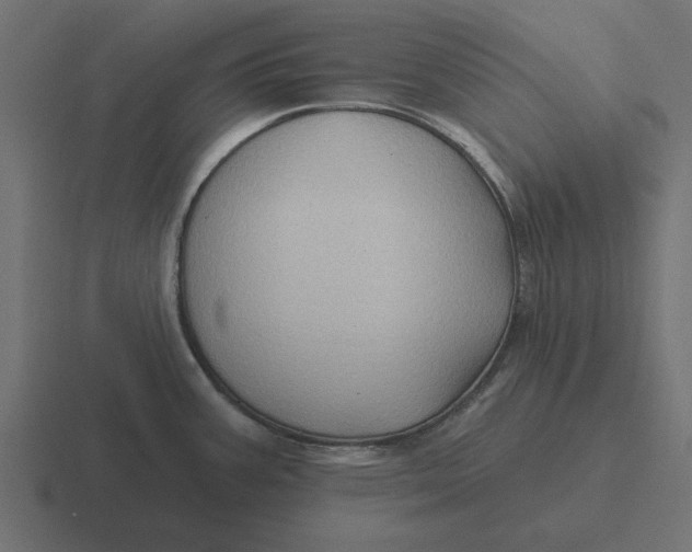 X0000116491387200912292057