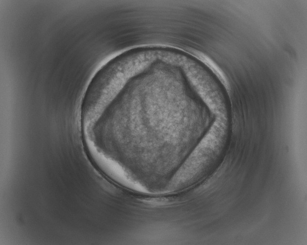 X0000116491388200912292057