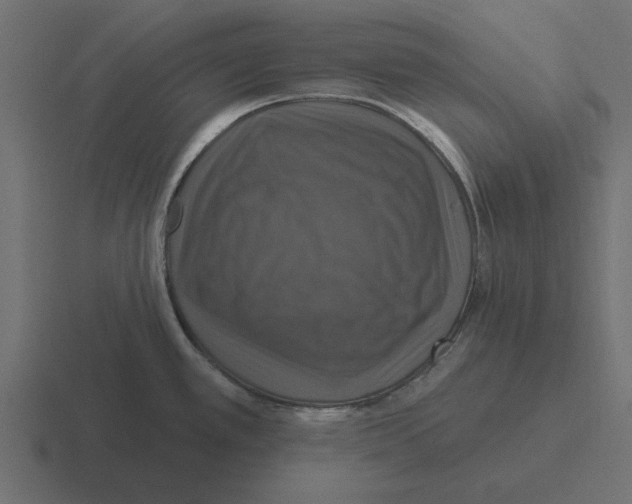 X0000116491389200912292057