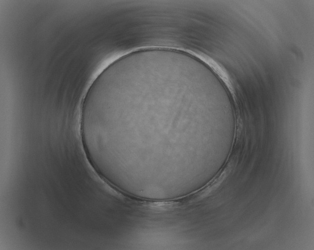 X0000116491390200912292057