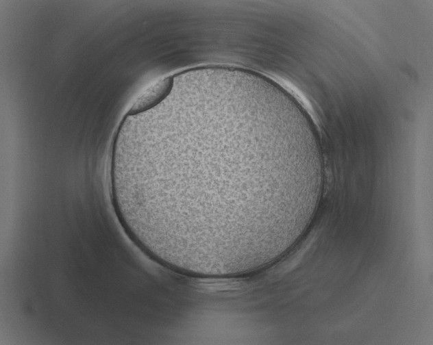 X0000116491391200912292057