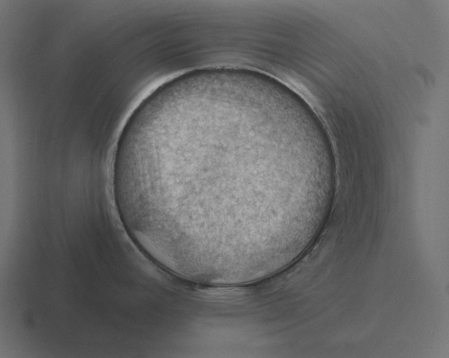 X0000116491392200912292057