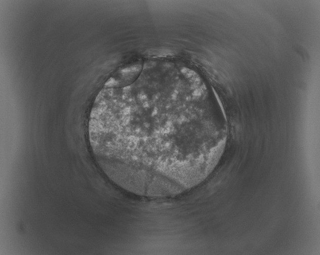 X0000116491393200912292056