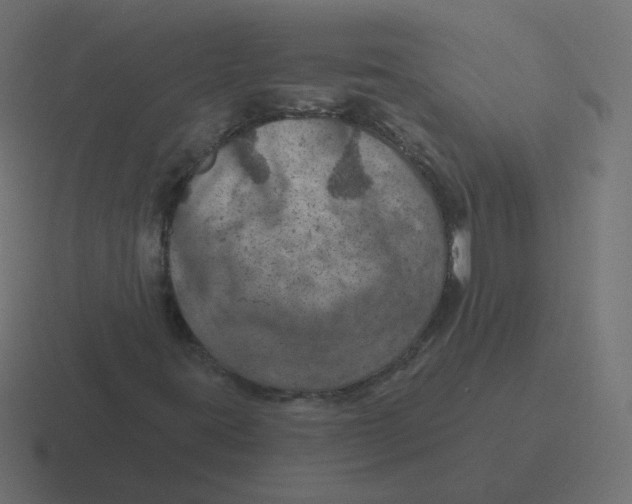 X0000116491395200912292056