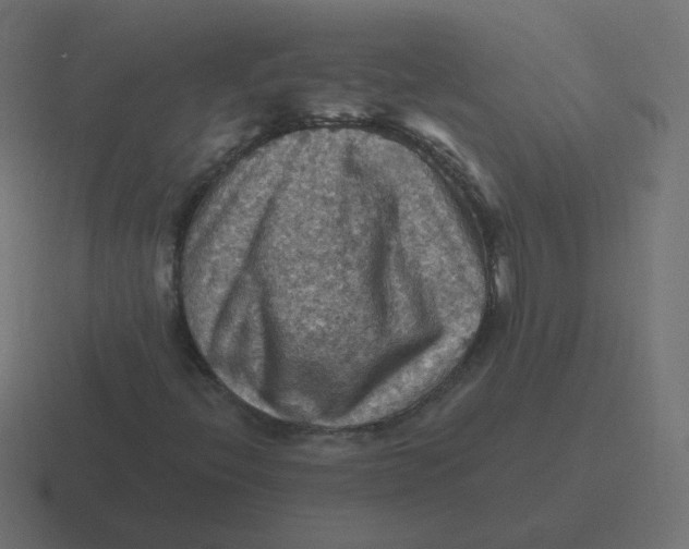 X0000116491396200912292056