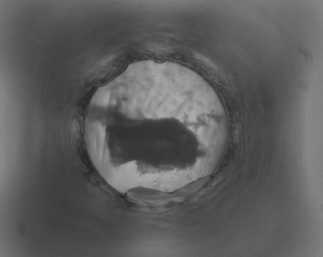 X0000116491397200912292056