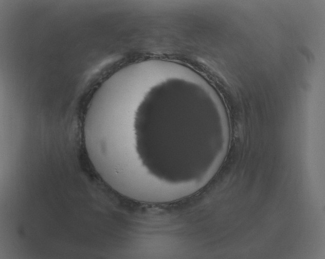 X0000116491398200912292056