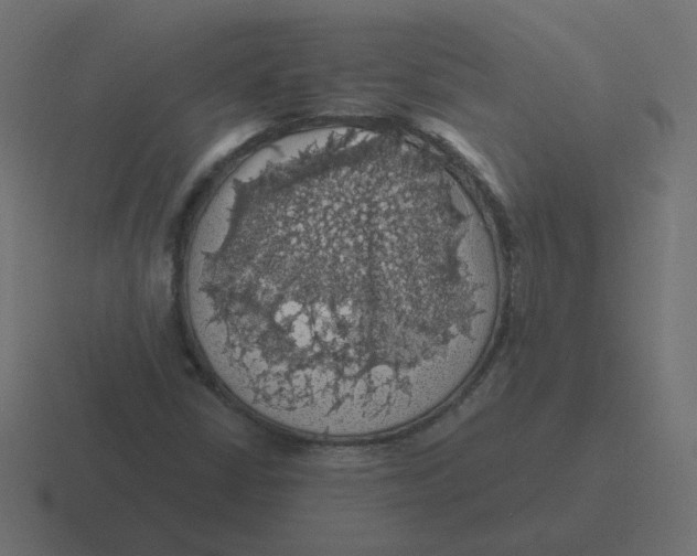 X0000116491402200912292056