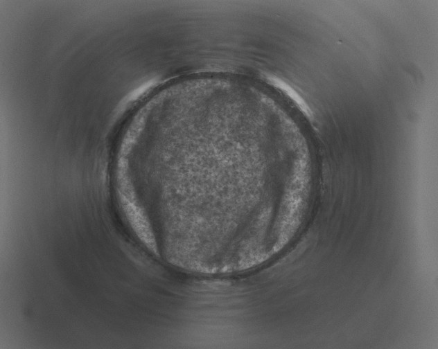 X0000116491403200912292056