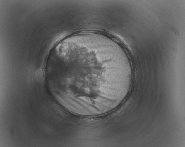 X0000116491405200912292056