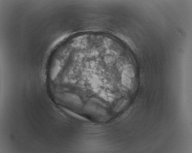 X0000116491406200912292056