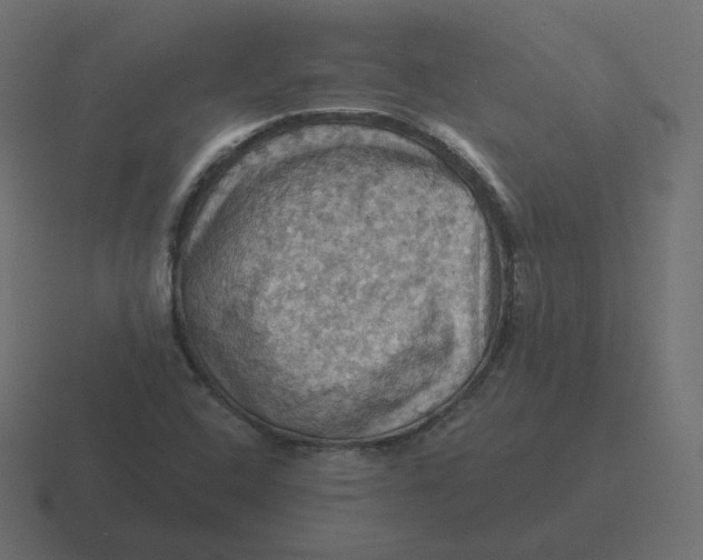 X0000116491408200912292056