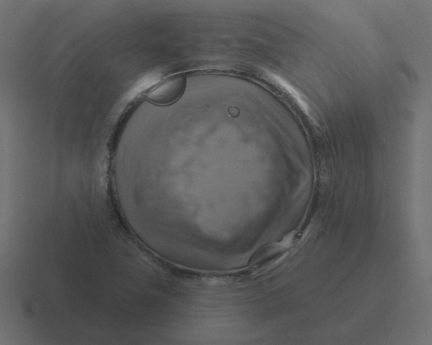 X0000116491411200912292056