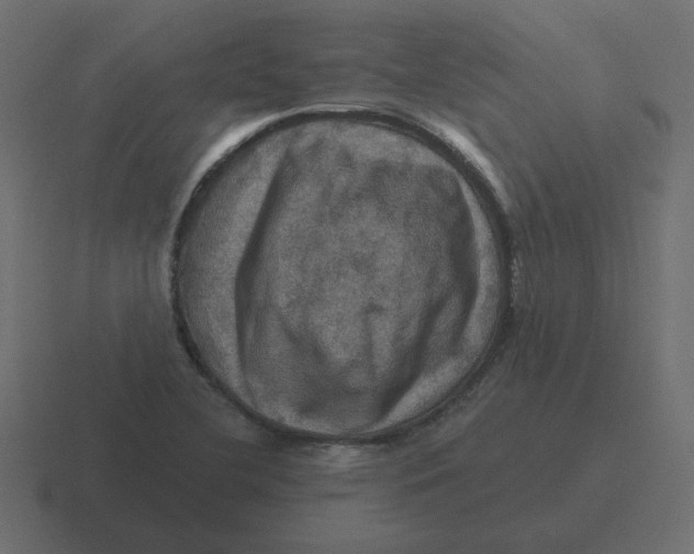 X0000116491412200912292056