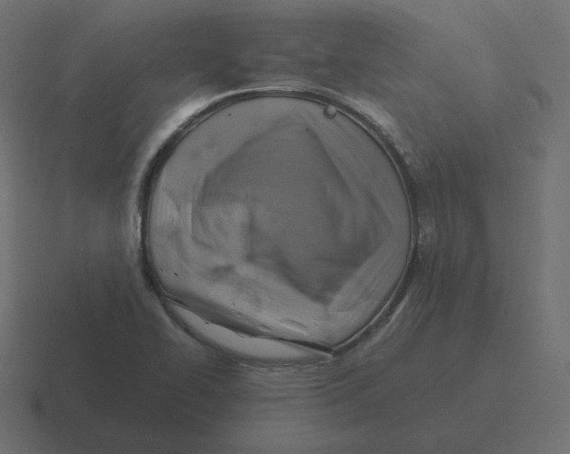 X0000116491414200912292056