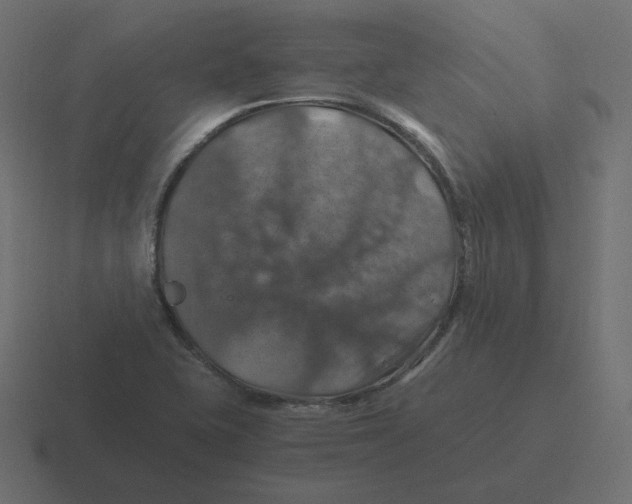 X0000116491415200912292056