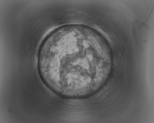 X0000116491416200912292056