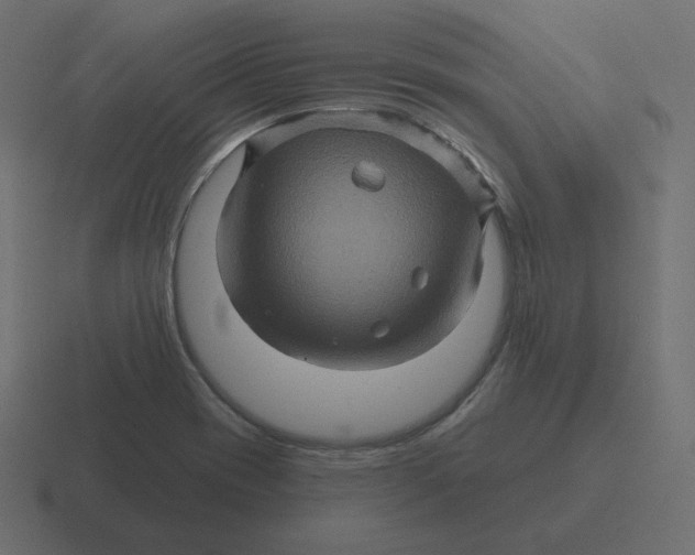 X0000116491417200912292056