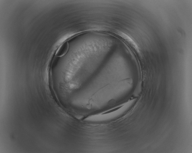 X0000116491419200912292056