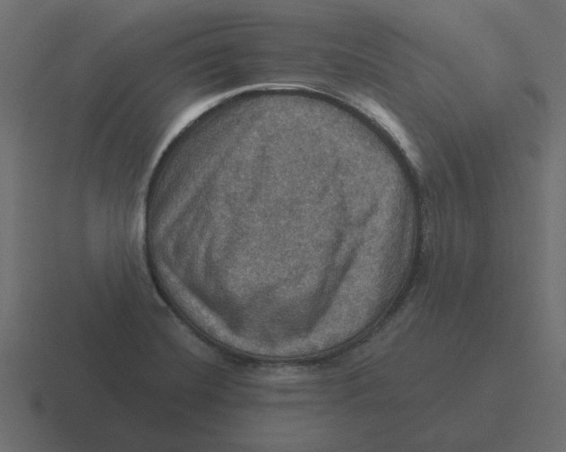 X0000116491420200912292057