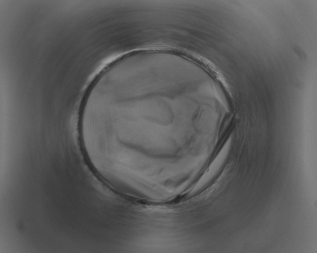 X0000116491422200912292057