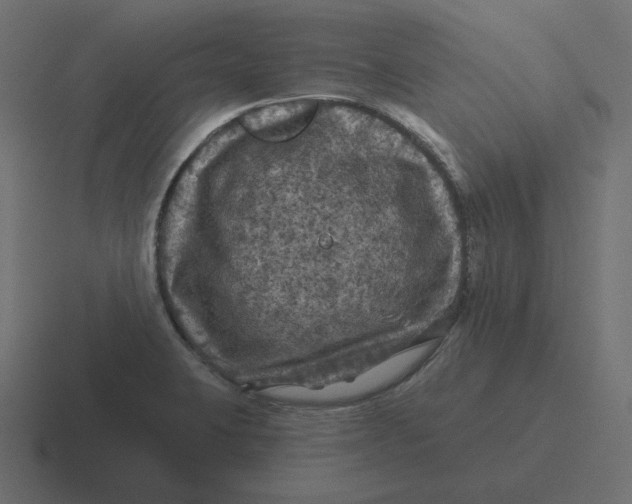 X0000116491423200912292057