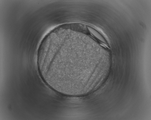 X0000116491424200912292057