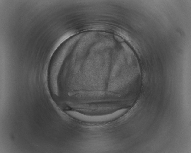 X0000116491426200912292057