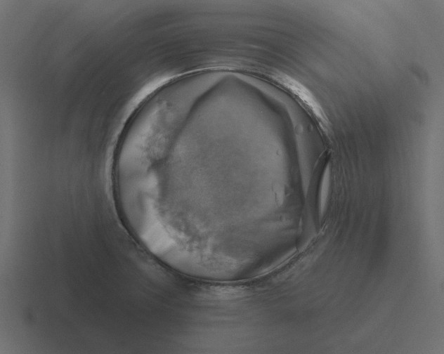 X0000116491427200912292057