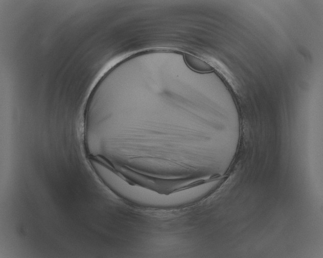 X0000116491428200912292057